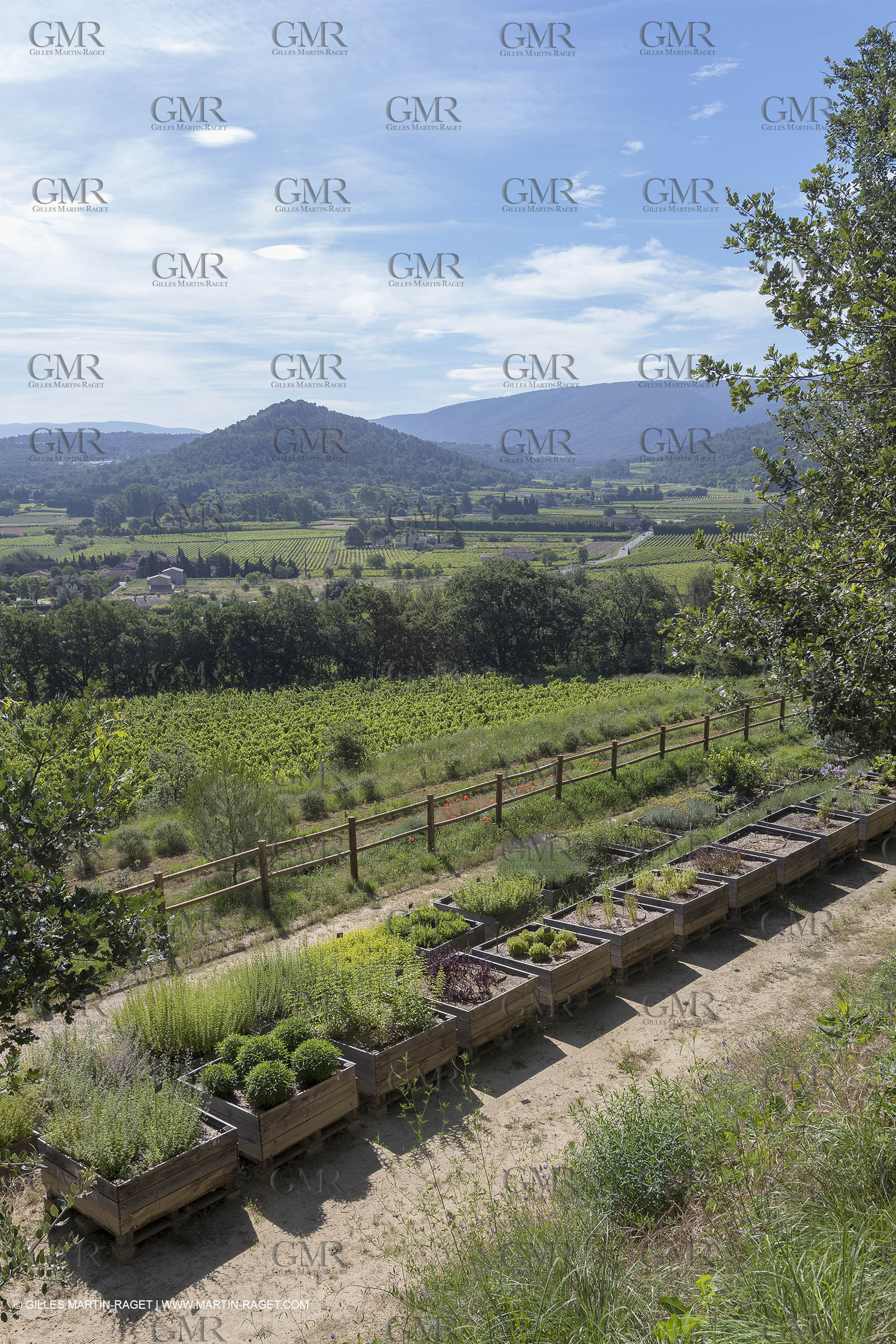 22 06 2018, Ménerbes (FRA,84), Domaine de la Citadelle, Jardin Botanique