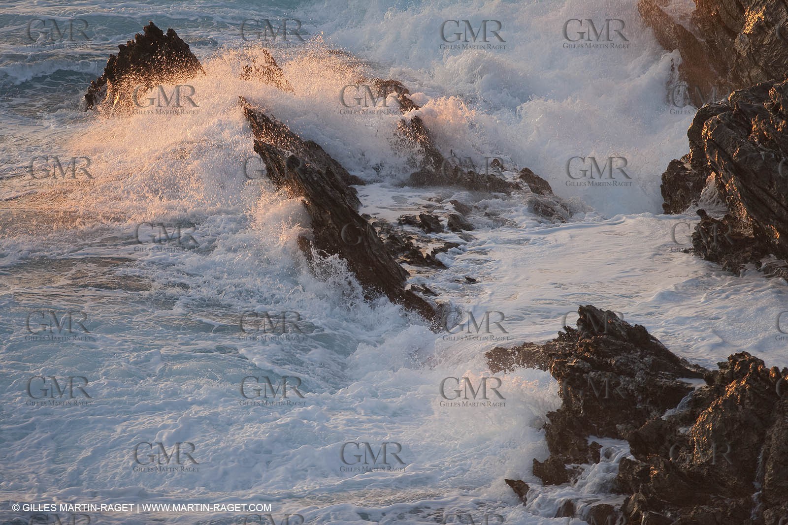 05 03 2009 - Pörquerolles Island south west coast (FRA, 83)