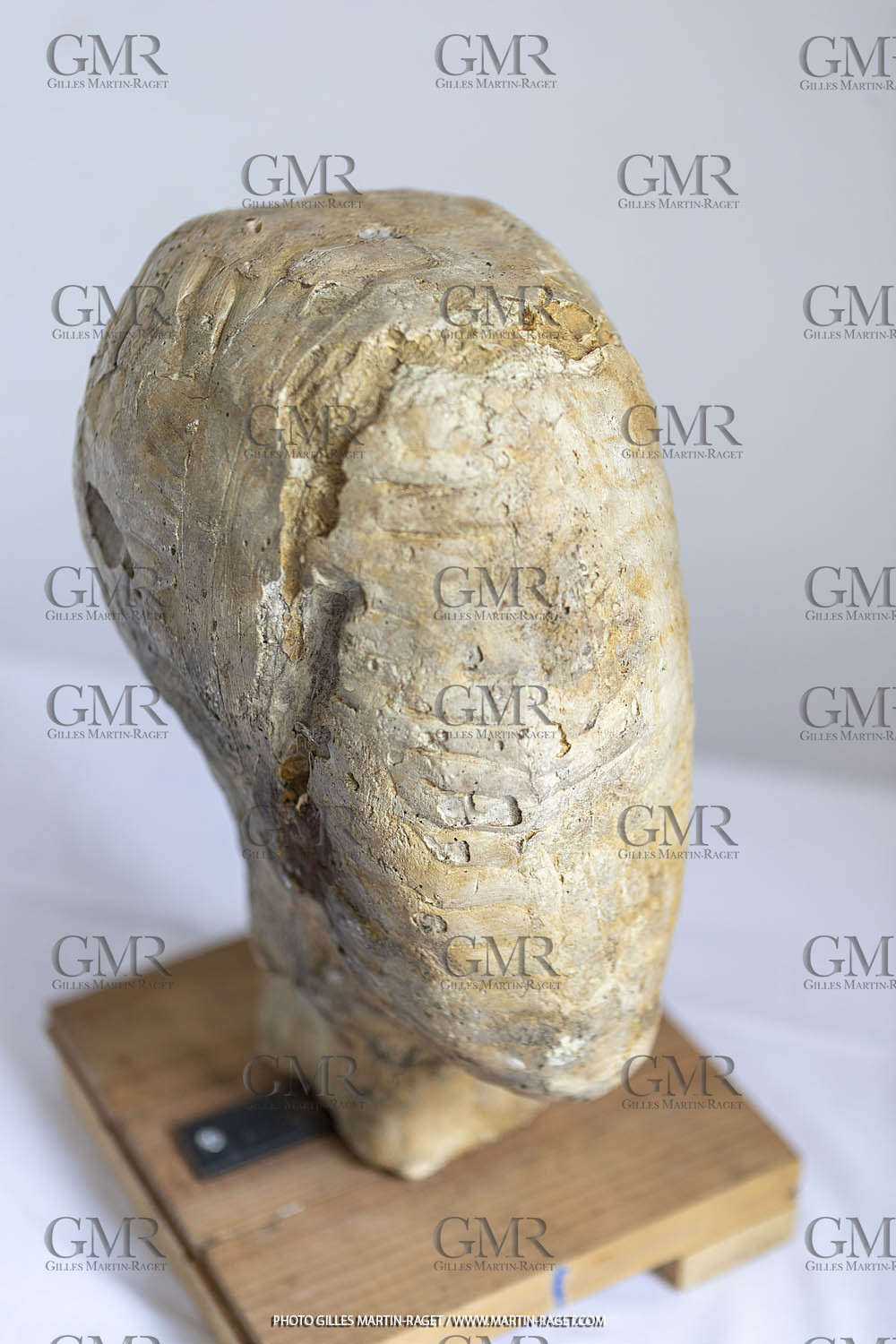 Oeuvre Germaine Richier, Plâtre buste n° 12, dit 'Le Tatou , 1934