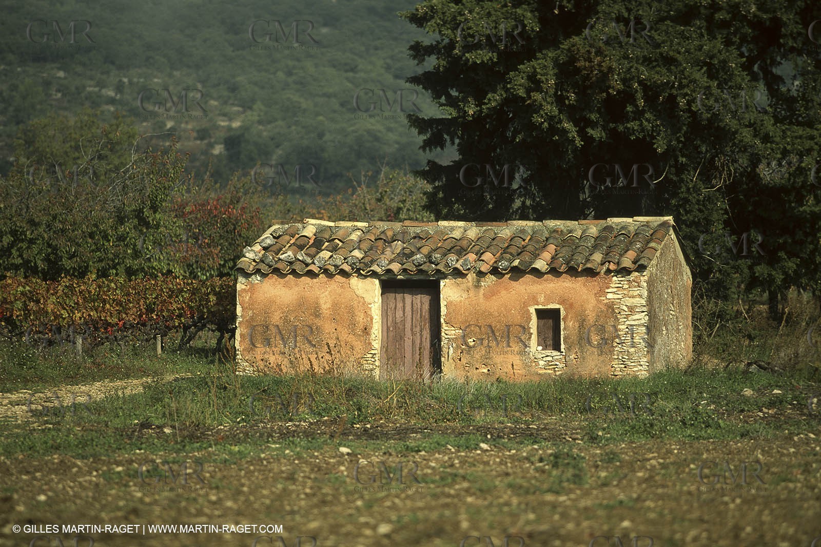 Luberon (FRA,84), Fall colors