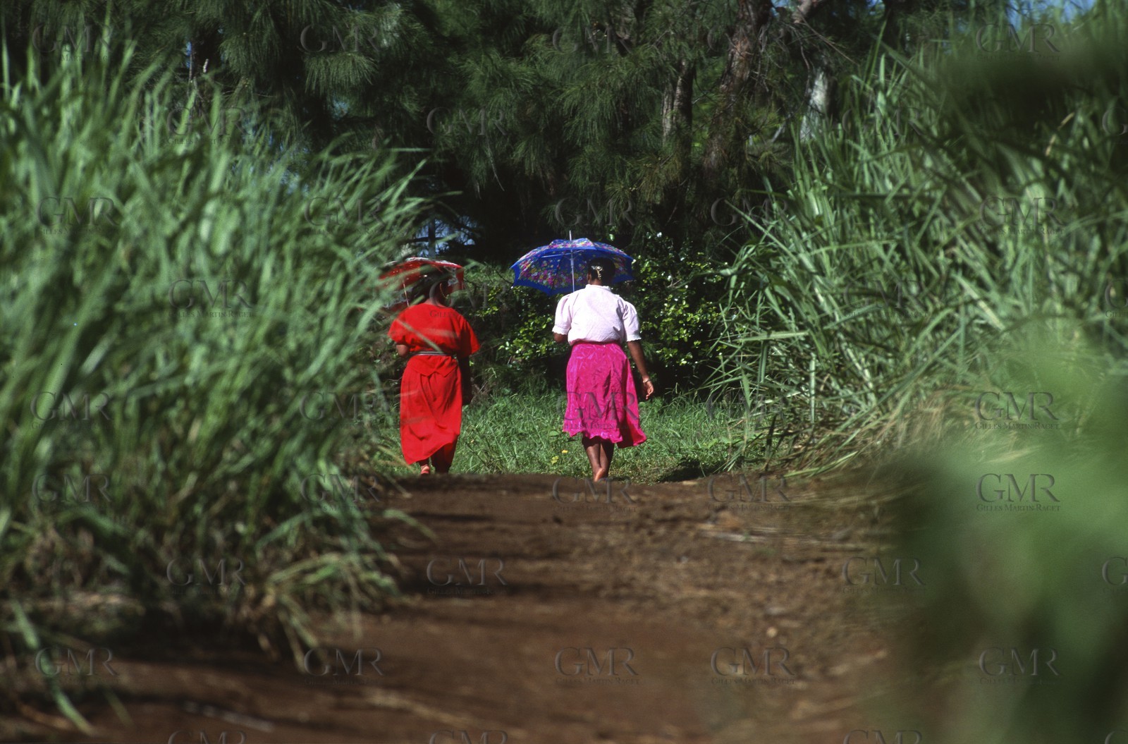 Destination - Indian Ocean - Mauritius Island
