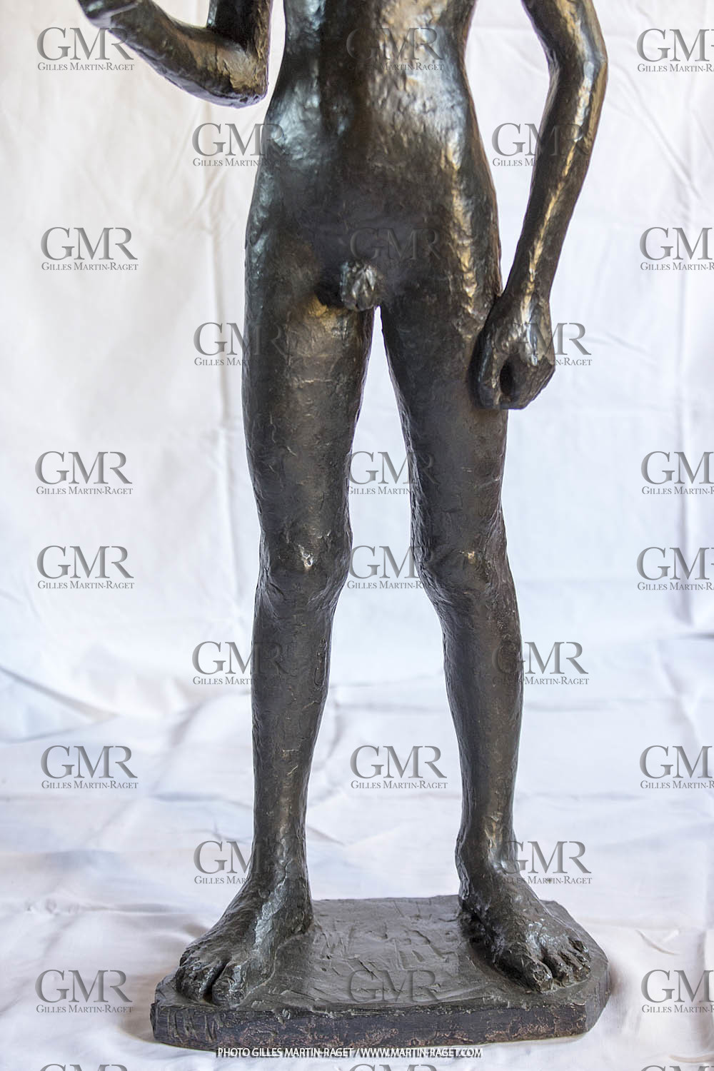06 03 2016, Saint-Etienne du Grès (FRA,13), Oeuvre de Germaine Richier, Loretto I 1934, Bronze patiné foncé, Numéroté 4 6, fondeur Susse, Paris, 160 x 52 x 35 cm, Collection particulière