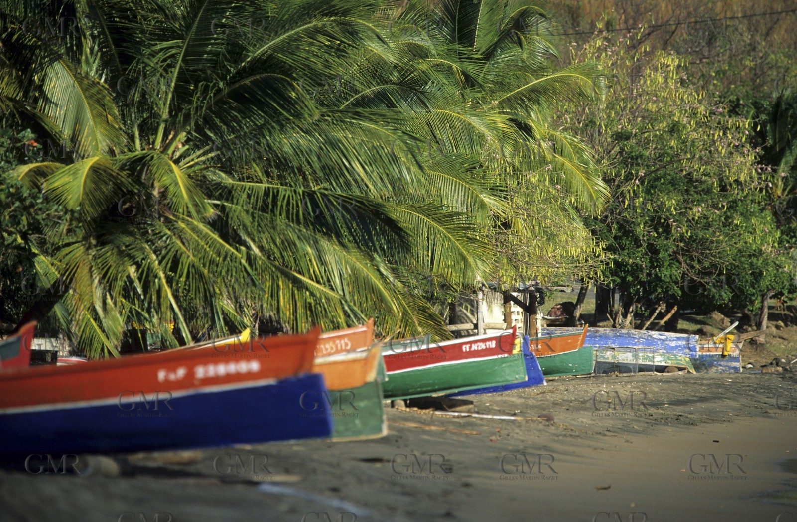 Martinique - Caribbean