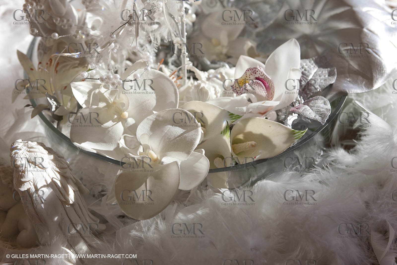 22 12 2008-Cabasse (FRA,83) - Domaine du Lac