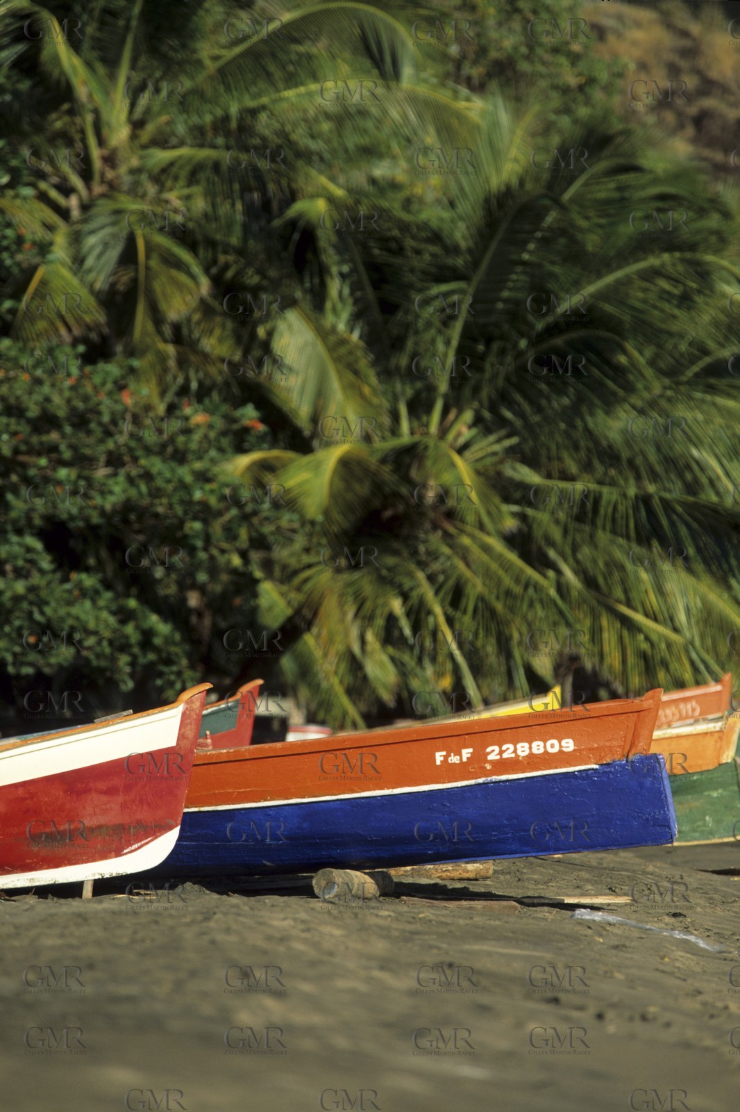 Martinique - Caribbean