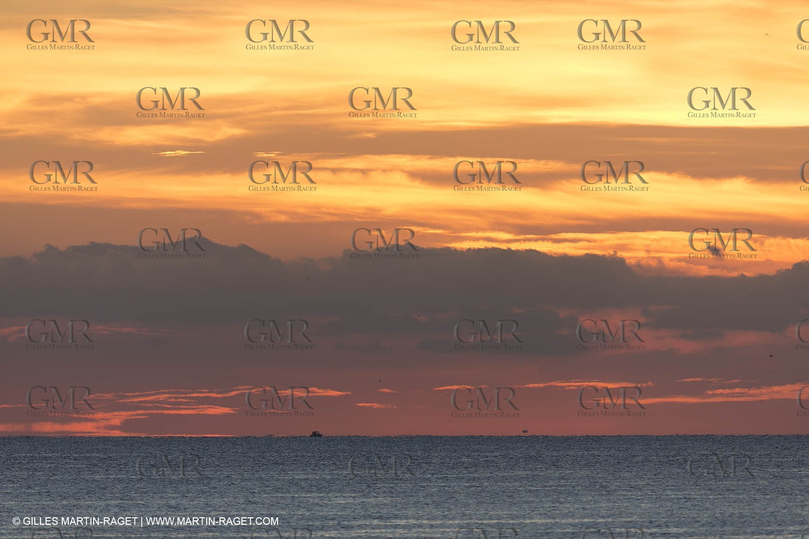 11 10 2014, Alicante (ESP), Volvo Ocean Race 2014-15, Team Alvimedica