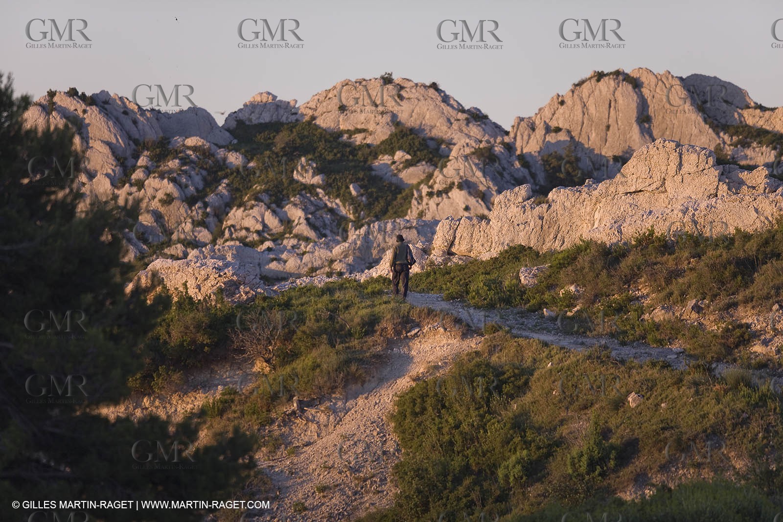 June 24th 2008 - Saint Rémy de Provence (FRA,13) - Alpilles hills landscapes