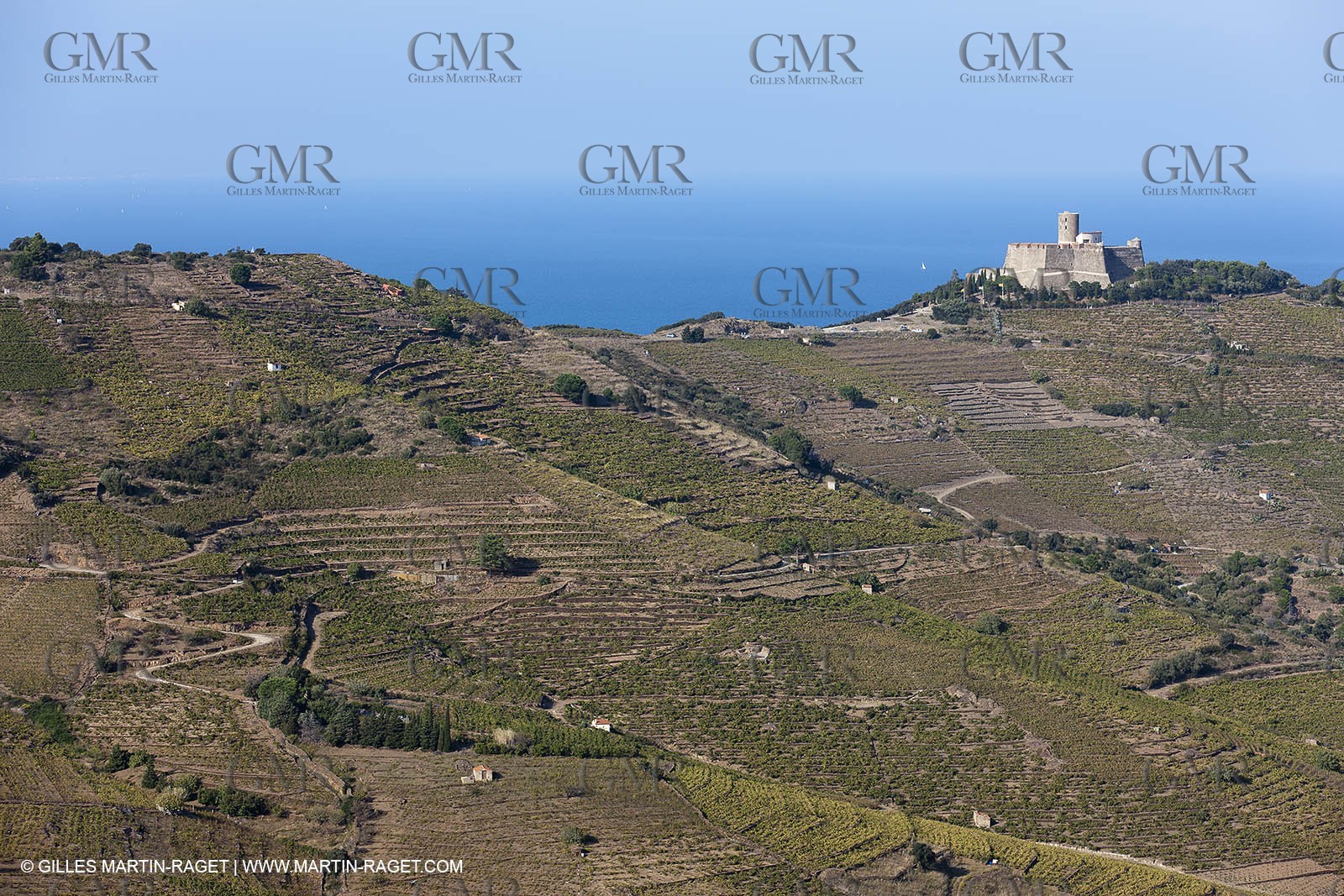 17 10 2011 - Vermeille Coast (FRA, 66) - Corbières Vineyards