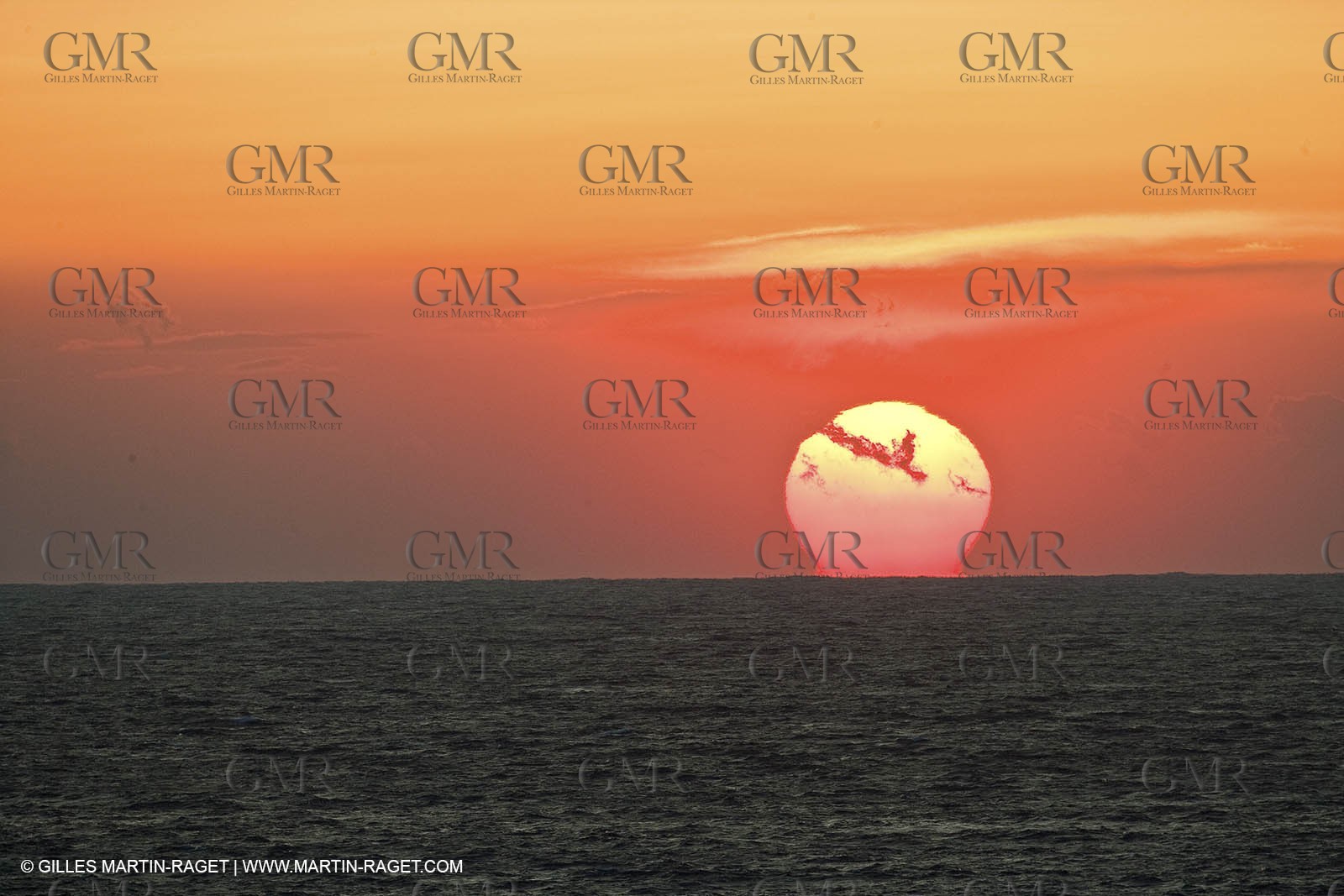 05 03 2009 - Pörquerolles Island south west coast (FRA, 83)