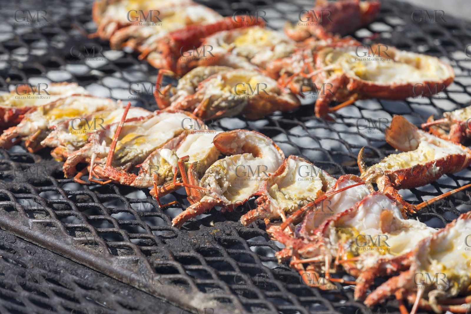 10 11 2014, Capetown (ZAF), Volvo Ocean Race 2014-15, Team Alvimedica