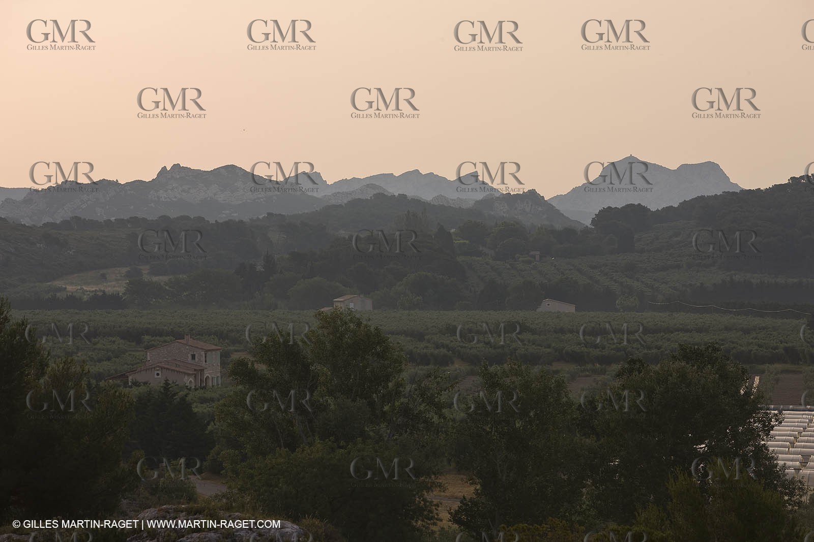 June 24th 2008 - Mouriès (FRA,13) - Alpilles hills landscapes - Le Destet area
