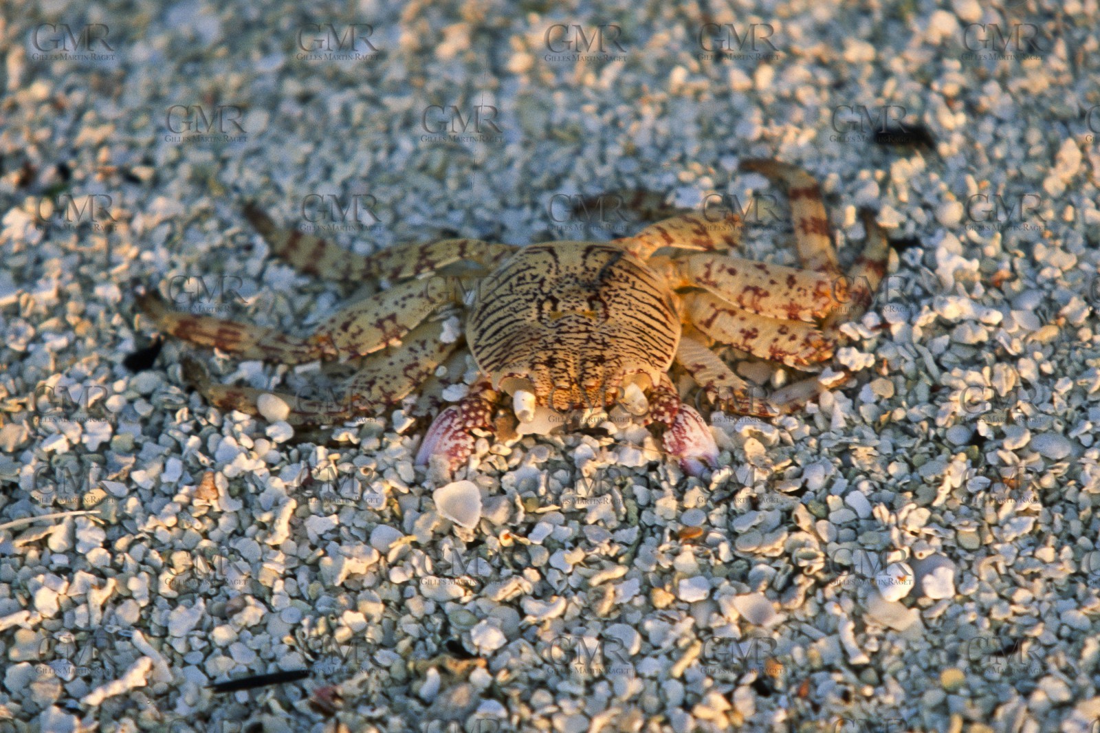 Destinations - Indian Océan - Maldives