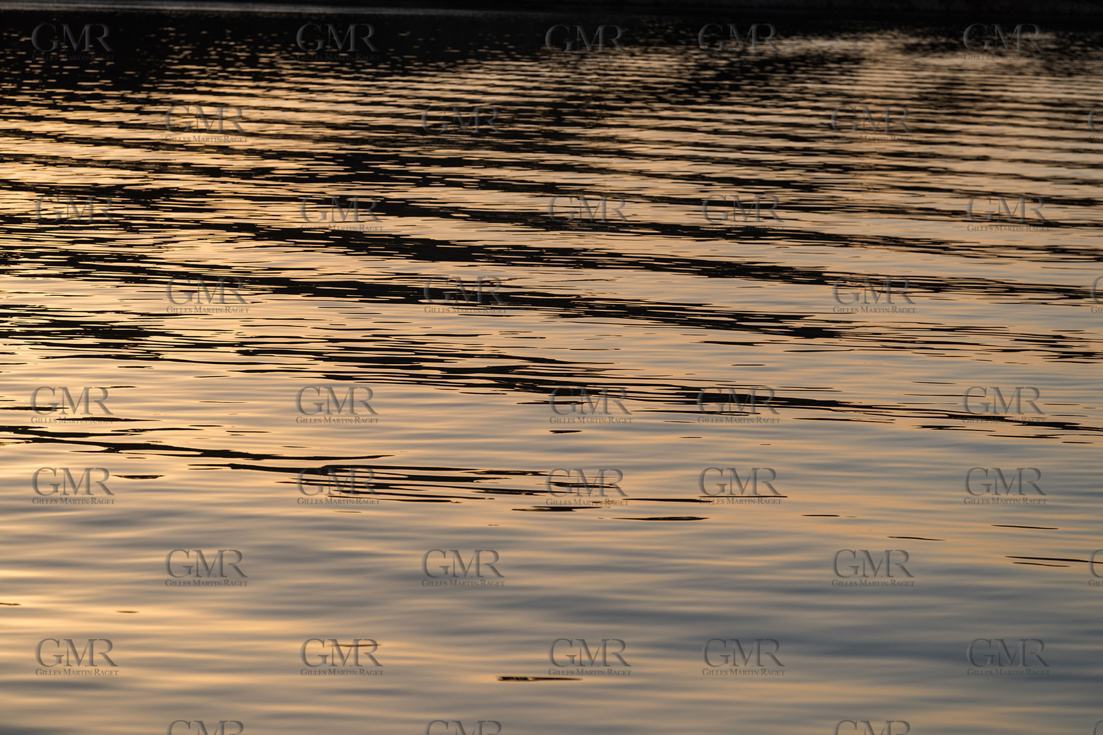 Sense51_0975.jpg