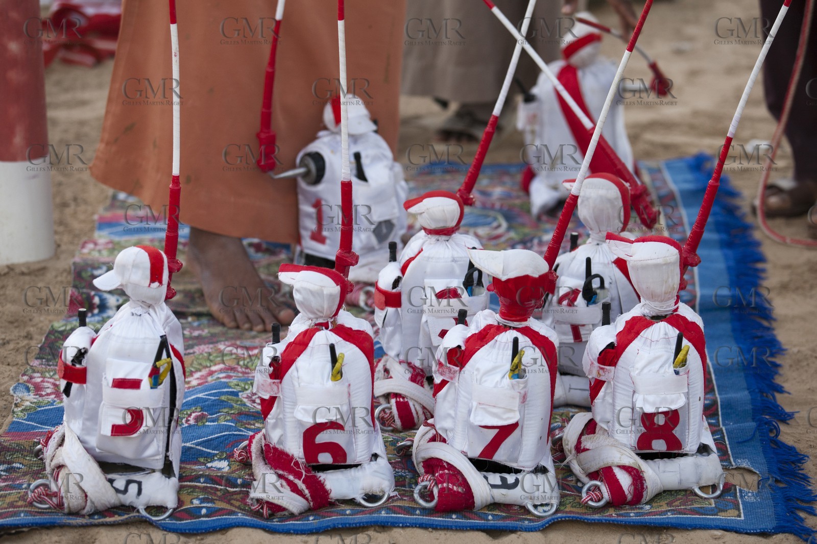 20 11 2010 - Dubai (UAE) - Camel races