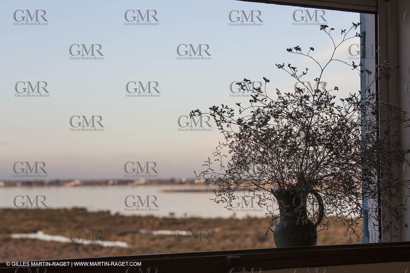 27 01 2013 - Les Saintes Maries de la Mer - Crinc Blanc residency