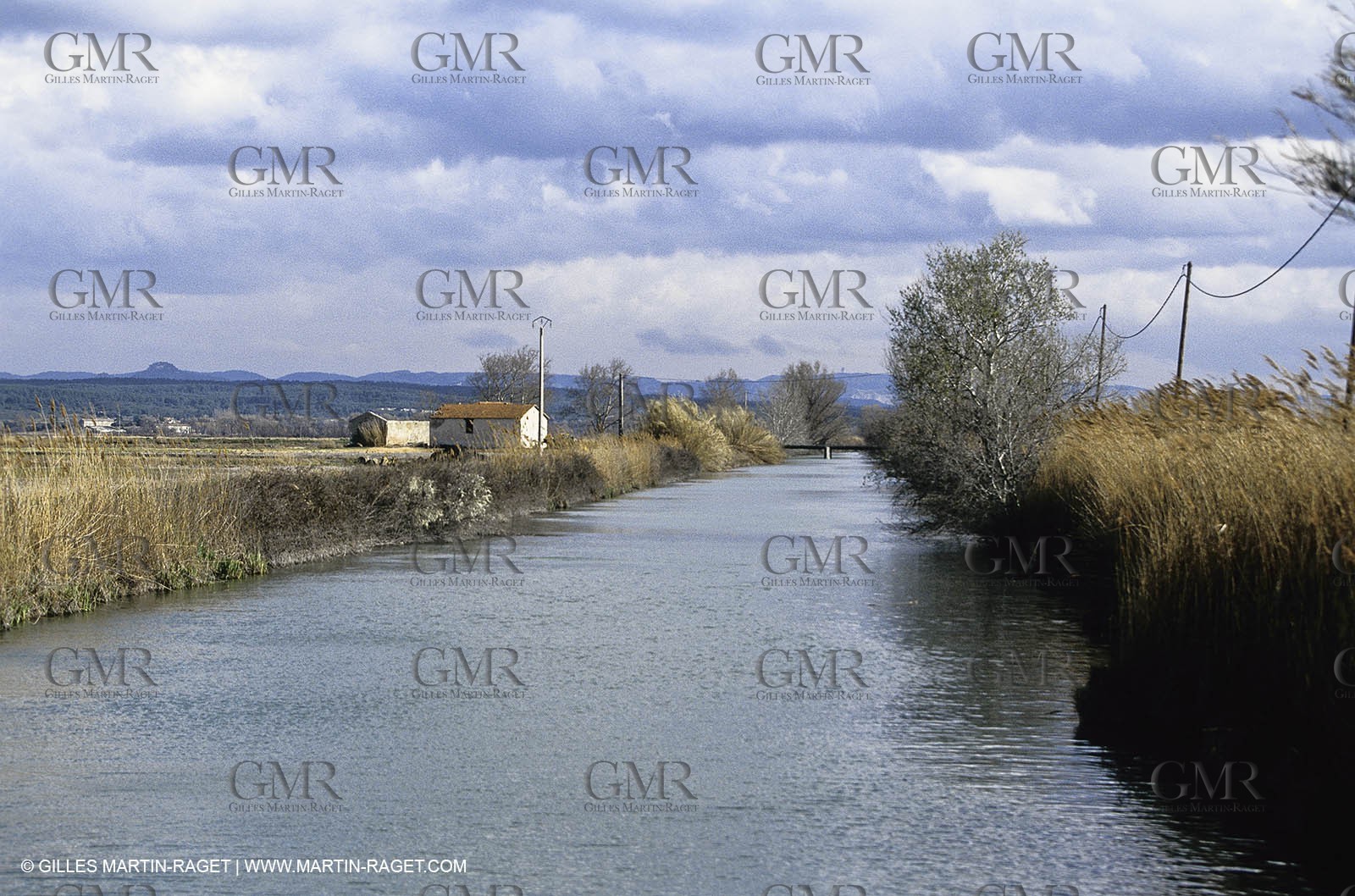 Camargue (FRA,13) - Flamingos in the Camargue
