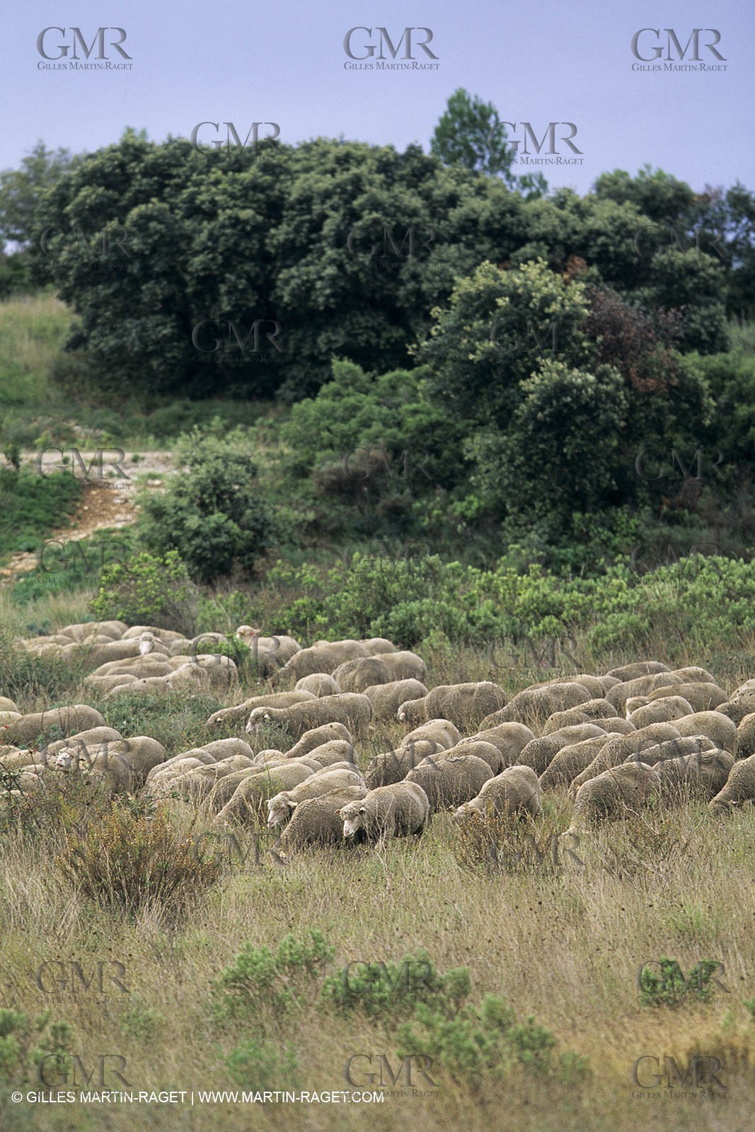 Paysages de Nîmes Métropole (FRA,30) - La Garrigue