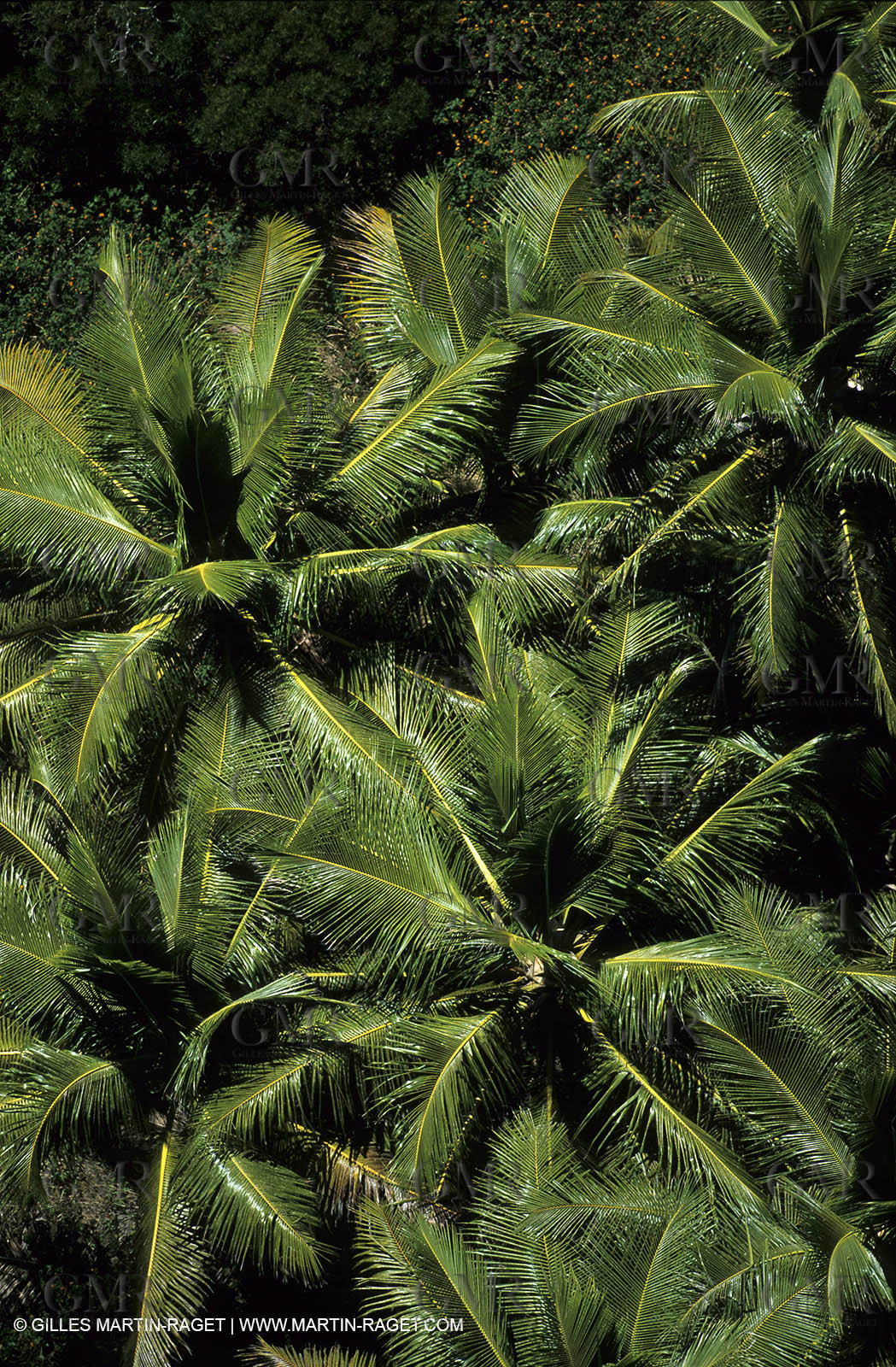 New Caledonia