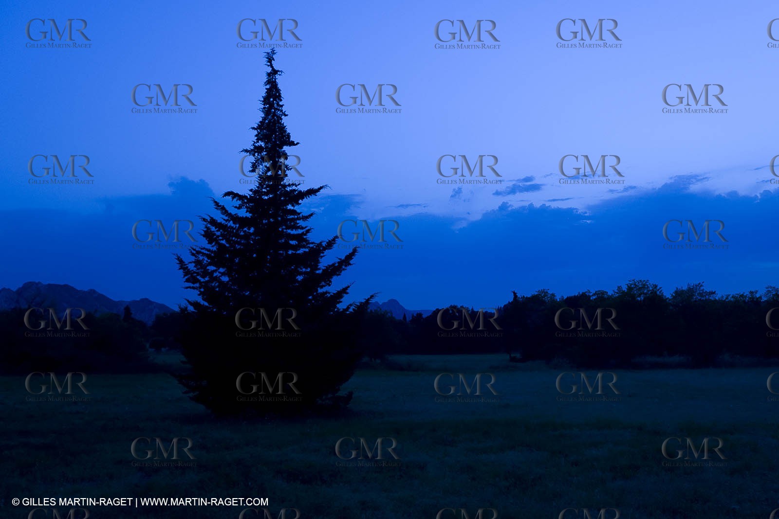 June 24th 2008 - Saint Rémy de Provence (FRA,13) - Alpilles hills landscapes