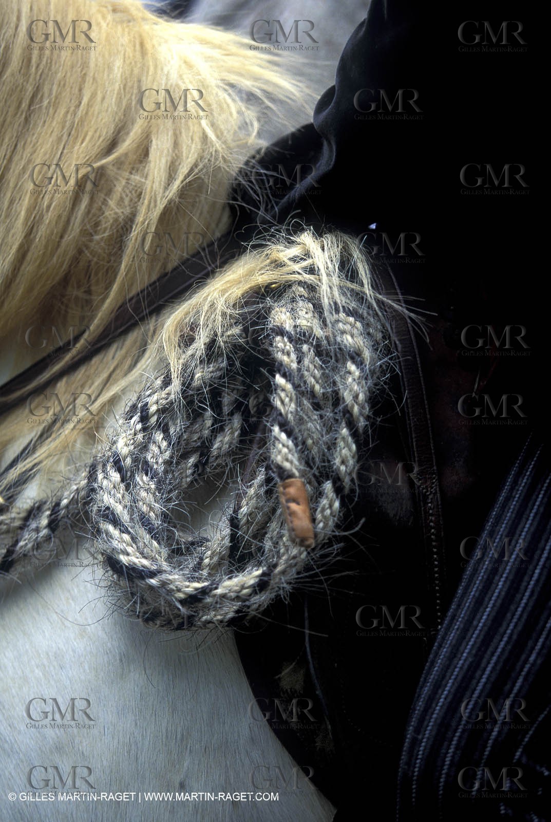 Arles - Camargue gardians (cow boys) at work