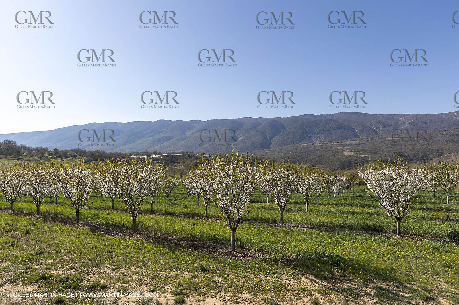 19 04 2018, Saint Martin de Castillon (FRA,84)