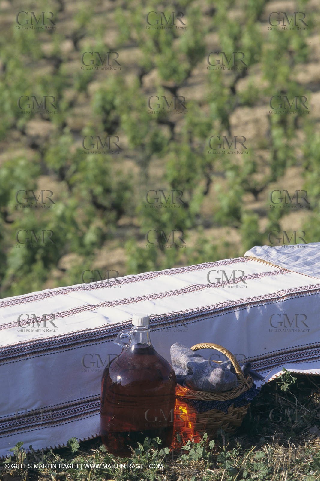 Vin, Vigne , Vendanges, vignification, vignobles, France, Provence, Côte du Rhône, Rosé