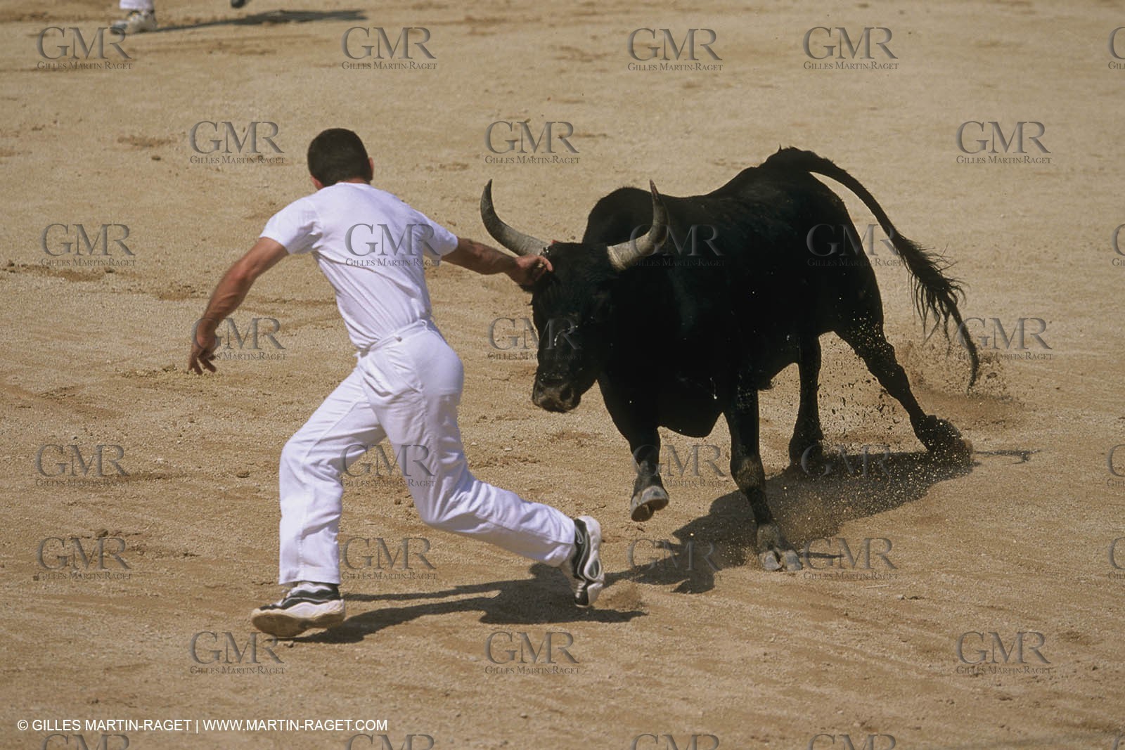 France, Provence, Course libre
