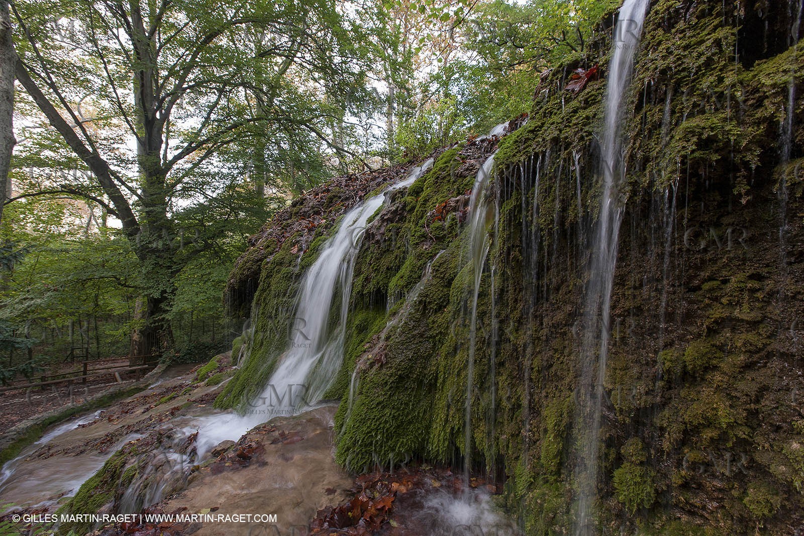 23 10 2012 - Gemenos (FRA) - Départemental Park of Saint Pons valley