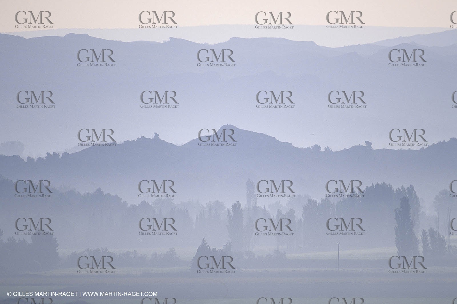 France, south, Alpilles landscapes