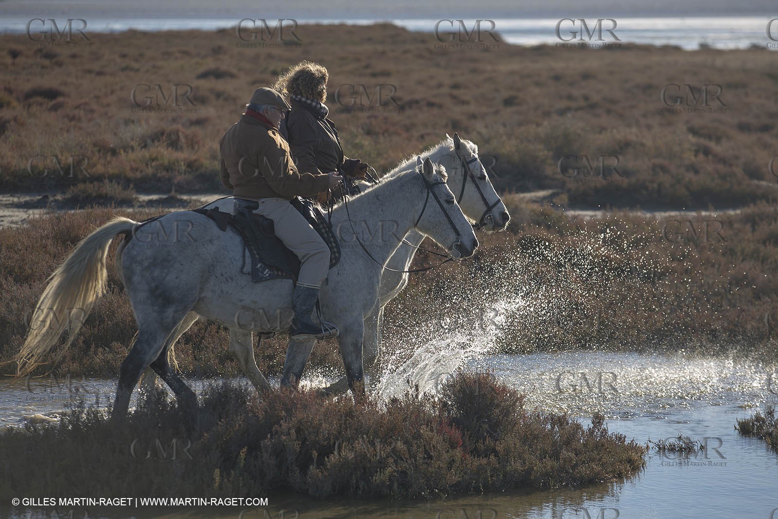26 12 2013 - Les Saintes Maries de la Mer (FRA,13) - Horse riding at Cabanes de Cacharel
