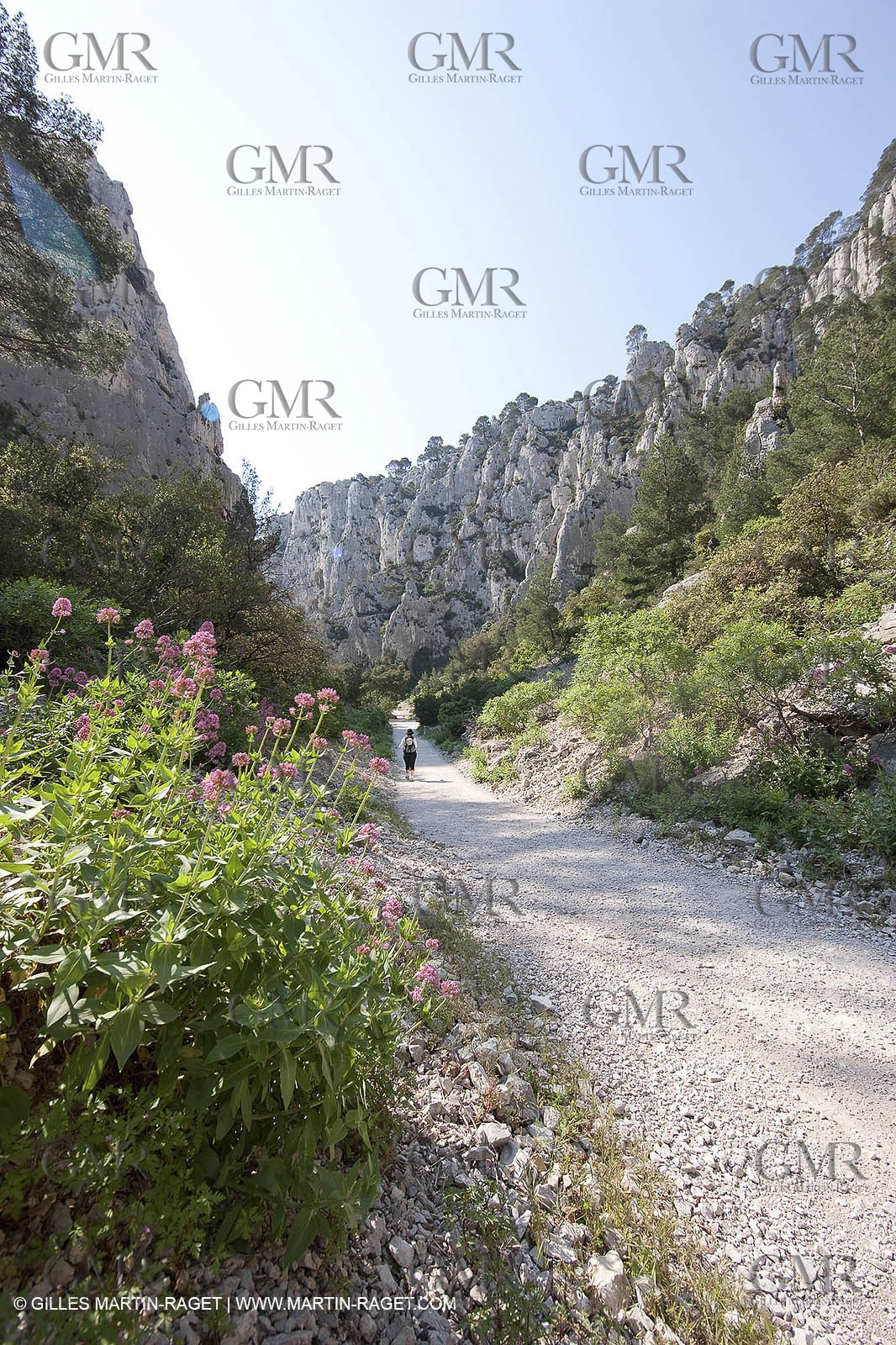 03 05 2009 - Marseille (FRA, 13) - Les Calanques - En Vau - Vallon d'en Vau