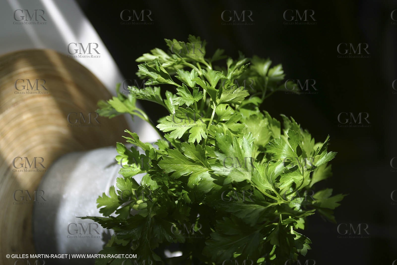 Cooking herbes from Provence - Garlic and Parsley