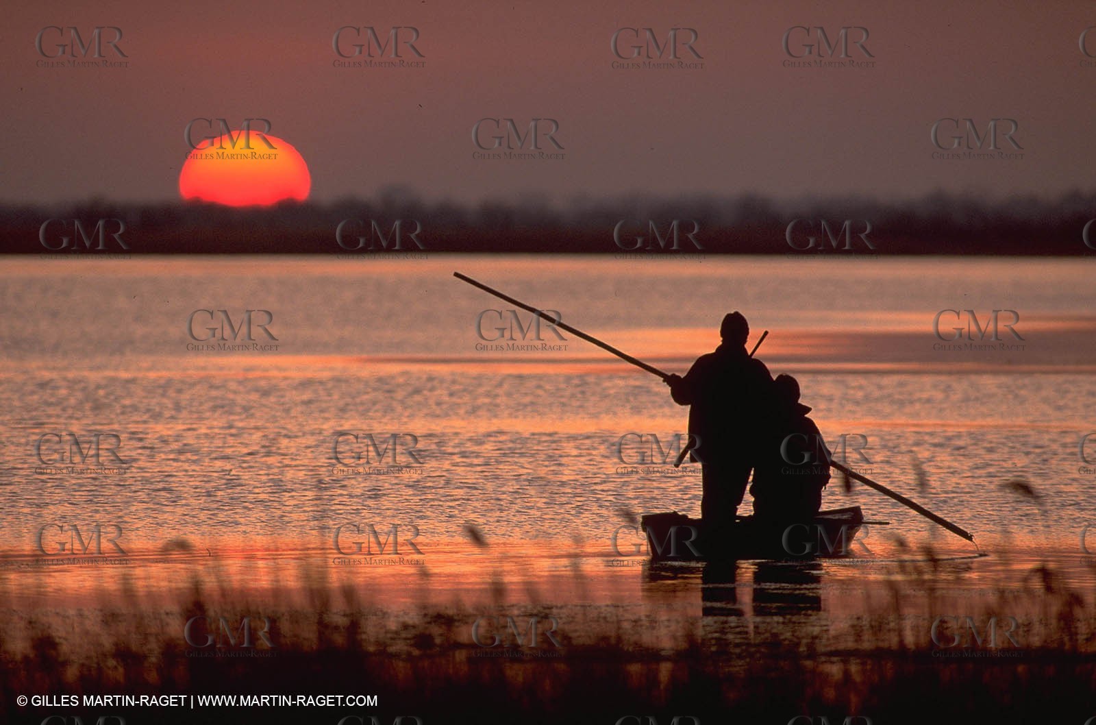 France, Provence, Camargue, Chasse, Hunting