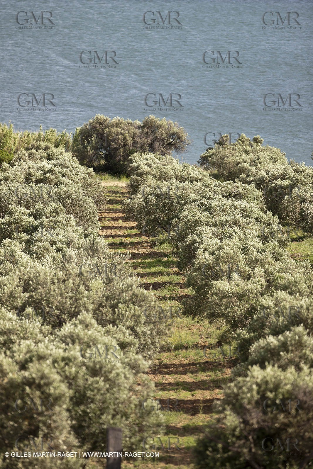 13 06 2012 - Saint Chamas (FRA,13)