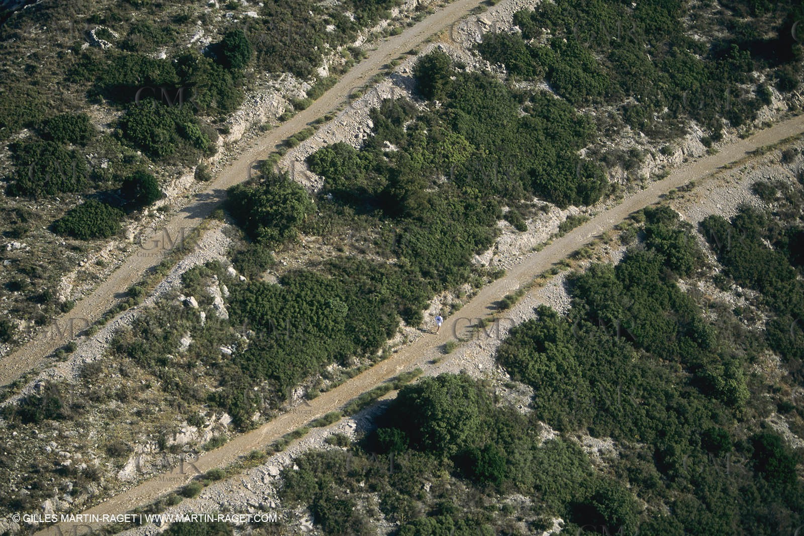 France, Provence, Pays d'Aubagne, collines de Marcel Pagnol