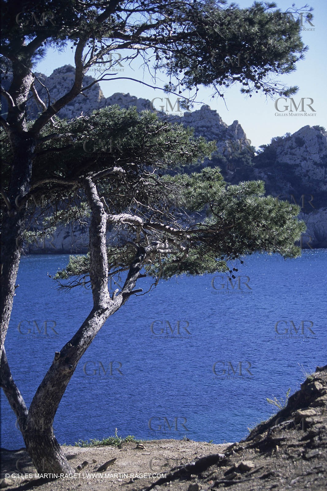 MRS2011_039
