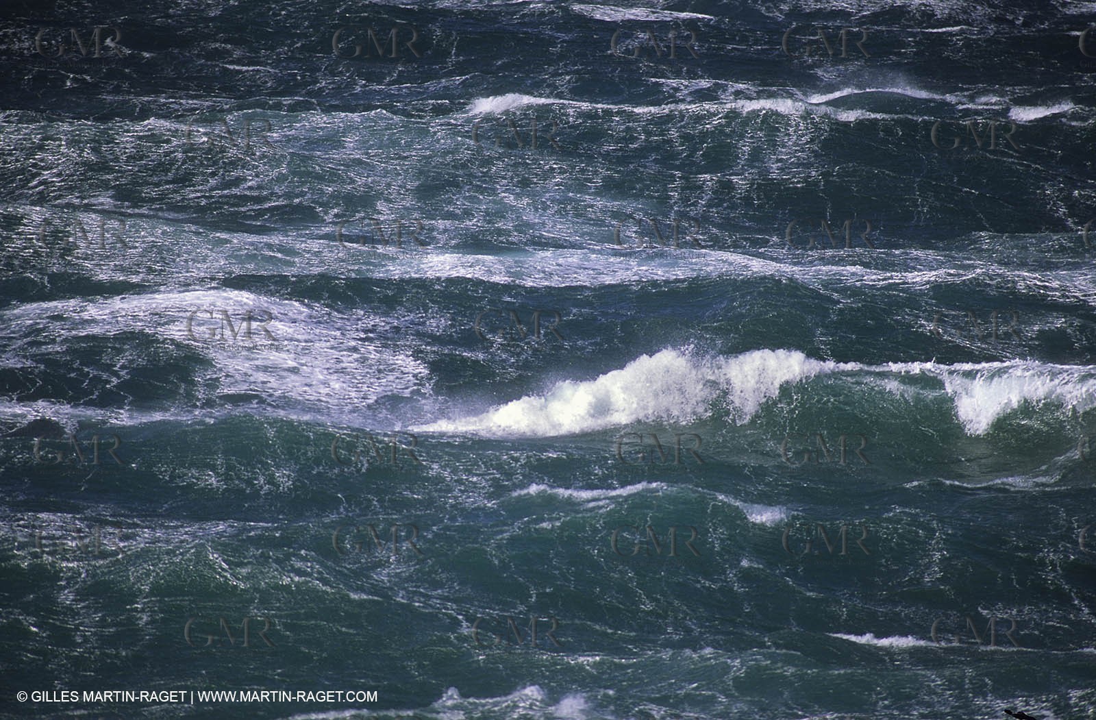 Tempete