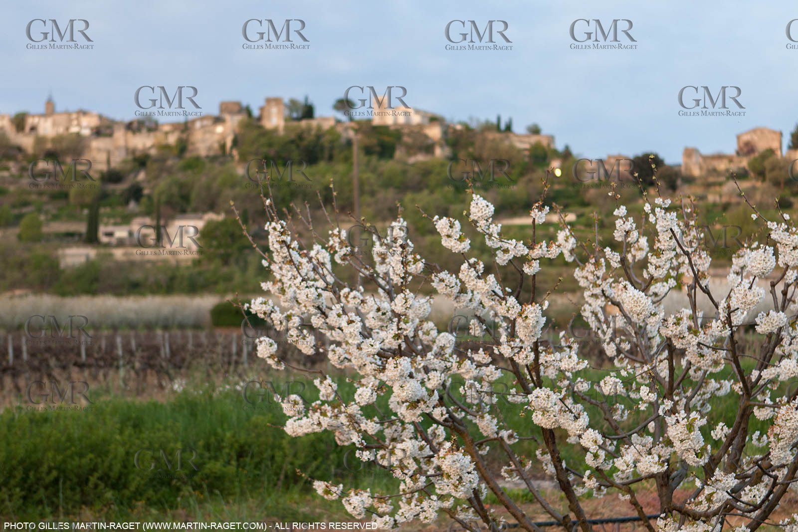 12 04 2016, Luberon National Park, Ménerbes