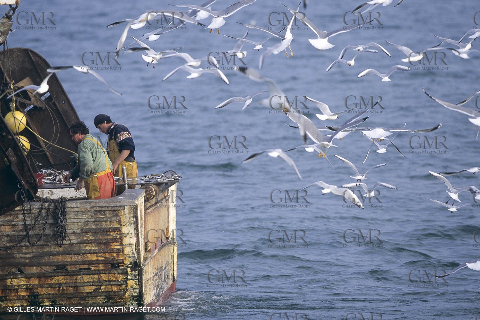 Monde maritime, Pêche, pêcheurs, bateaux de pêche, Marine world, fishing, fishermen, fishing boats