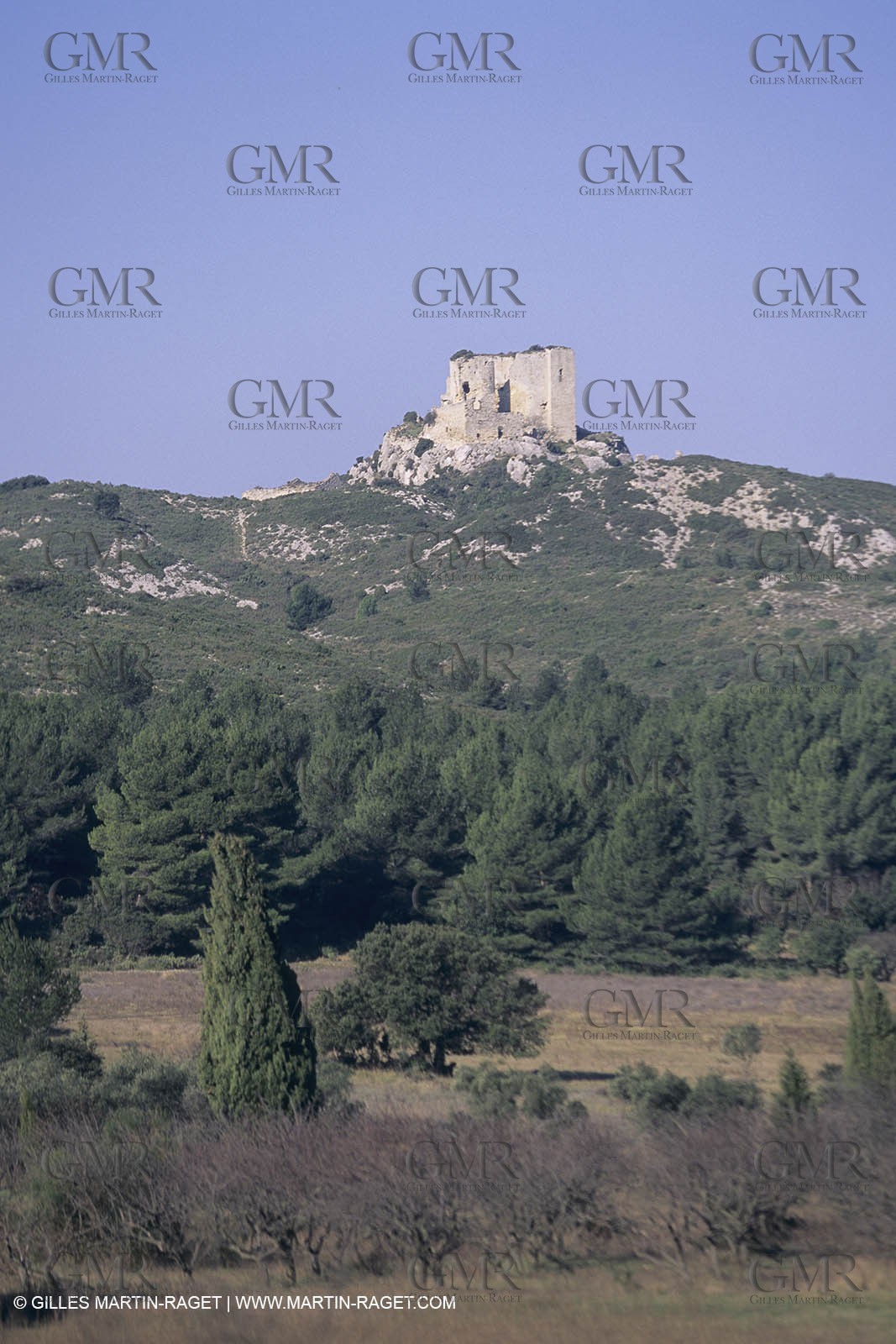 France, Provence, paysage des Alpilles, Alpilles landscapes