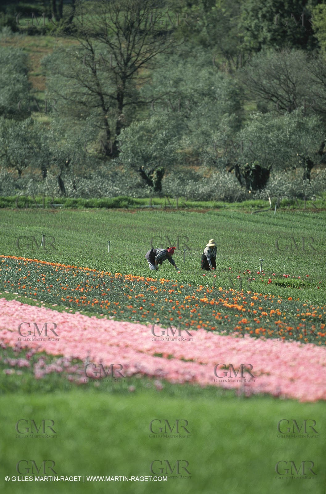 Durance river valley