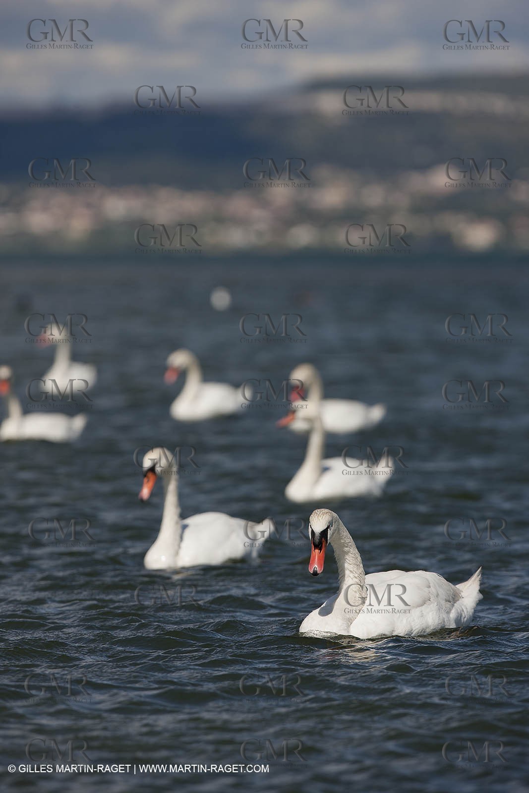 13 06 2012 - Berre l'Etang (FRA,13)
