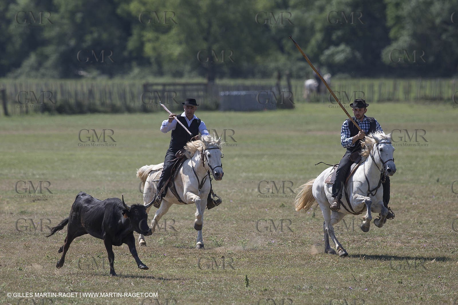 Course de Satin 2014 - Arles (FRA,13) - 1 06 2014**The satin race - Arles (FRA,13) - 01 06 2014