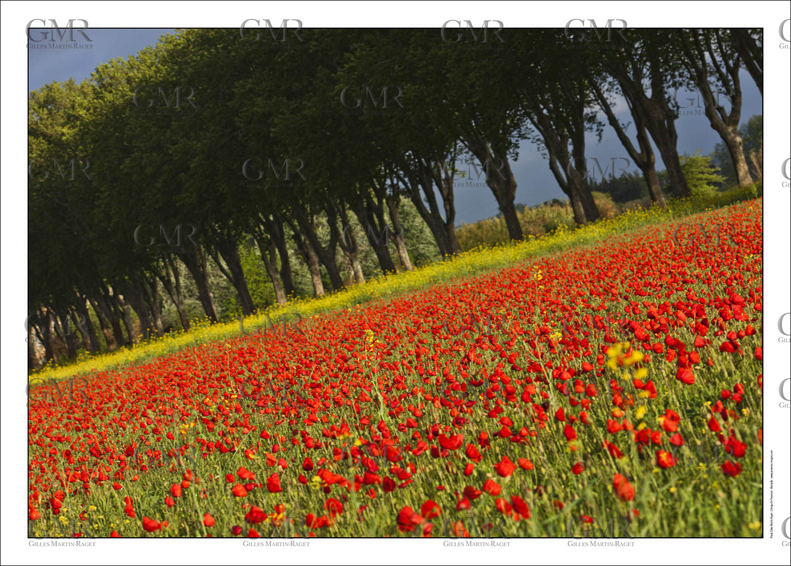 Product: in house made quality print on 8 ultrachome colors Epson ink Jet printer.Available sizes: . 30x40 cm. 50x70 cm. 80x120 cmAvailable papers: . Standard 250 gr glossy paper print, black streak, white margin, no signature. Top quality glossy 290 gr. paper, black streak, white margin, checked and signed by the author. Fine Art print (signed, numbered, stamped, registered) on demand. Other supports (Canvas, Acrylic, Metal) on demandPackaging: cylindric reinforced tubeShipping options: regular mail or Shipping companyClick on the basket icon to select your options and start the online ordering process