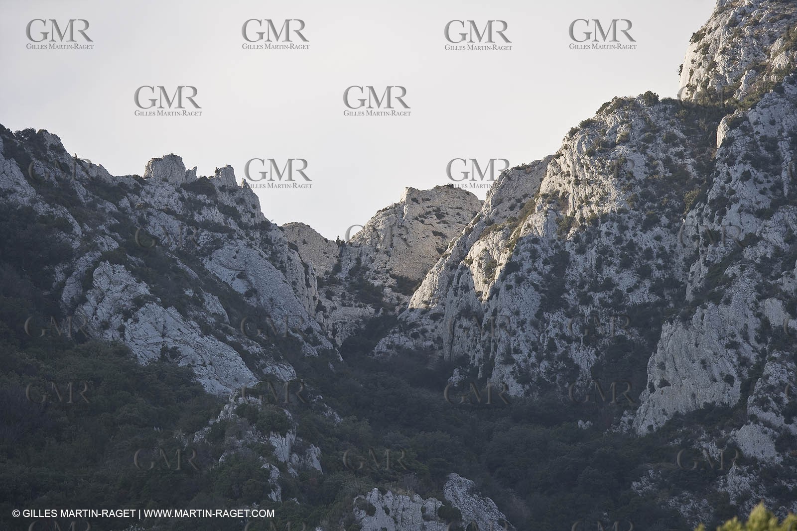 22 02 2008 - Saint Rémy de Provence (FRA, 13) - Alpilles hills landscapes