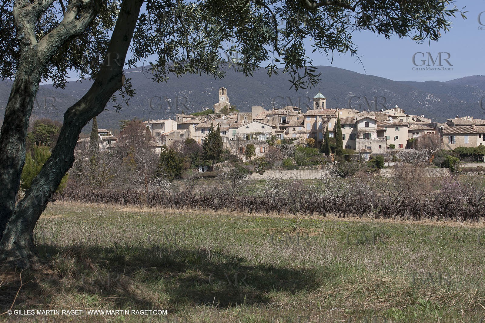 March 30th 2012 - Saint Saturnin les Apt (FRA, 84) - blooming cherry trees