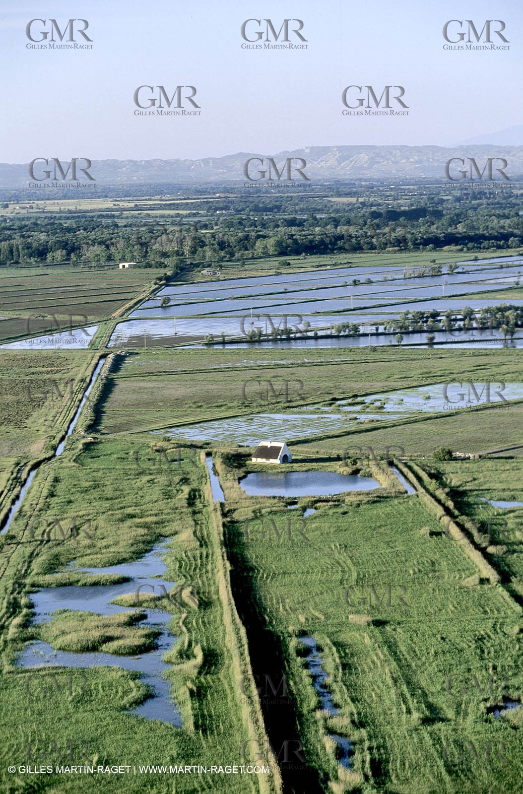 Ponds from Camargue
