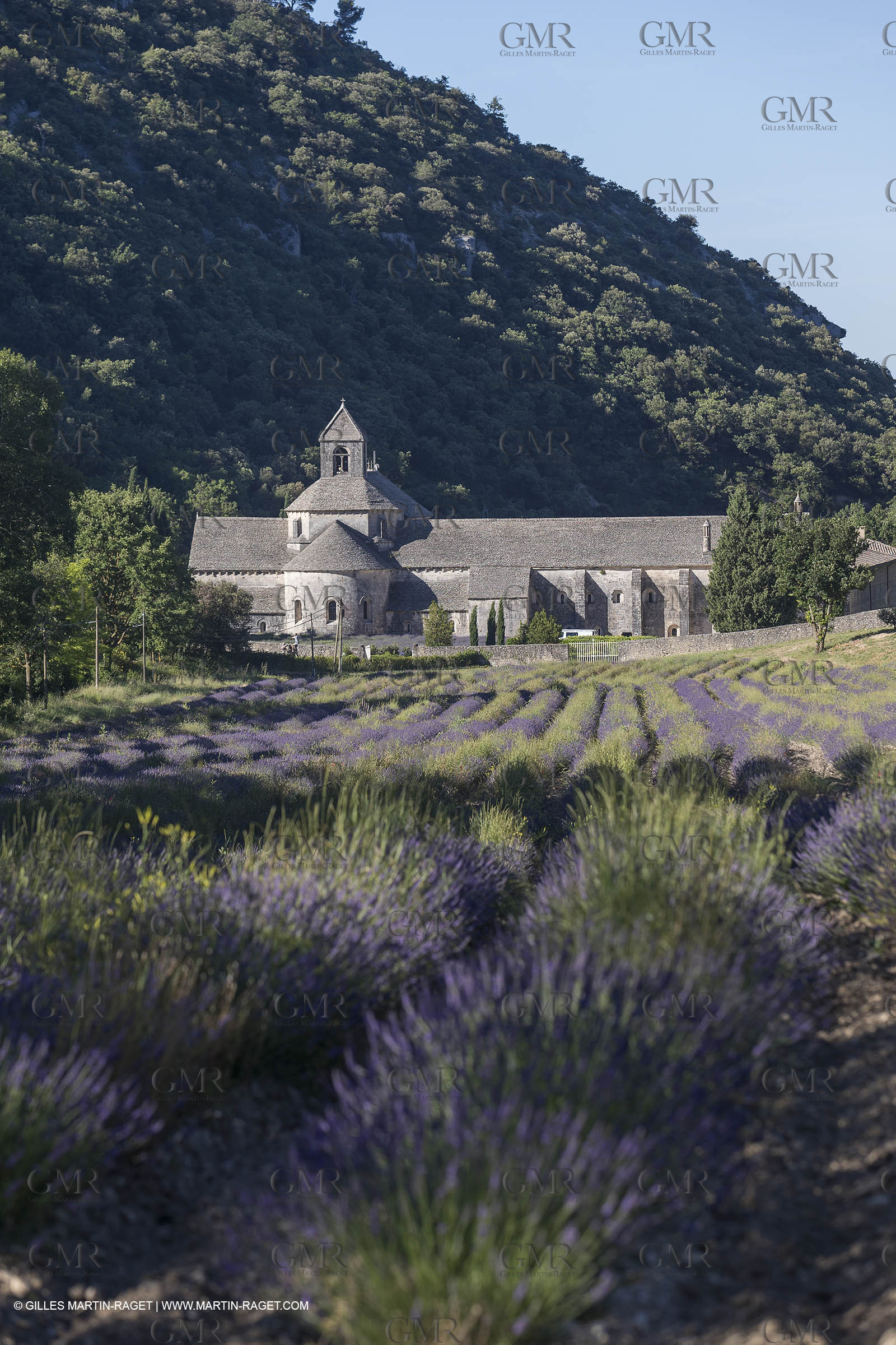 25 06 2018, Gordes (FRA,84), Abbaye de Sénanque