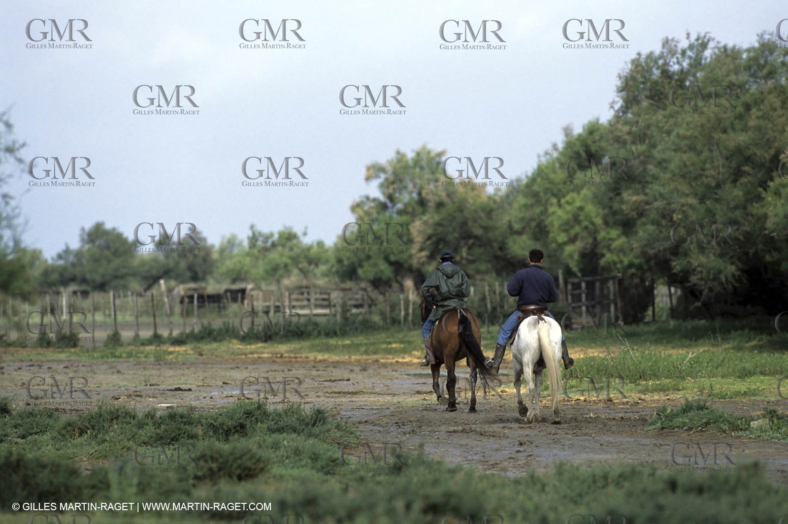 Arles - Camargue gardians (cow boys) at work