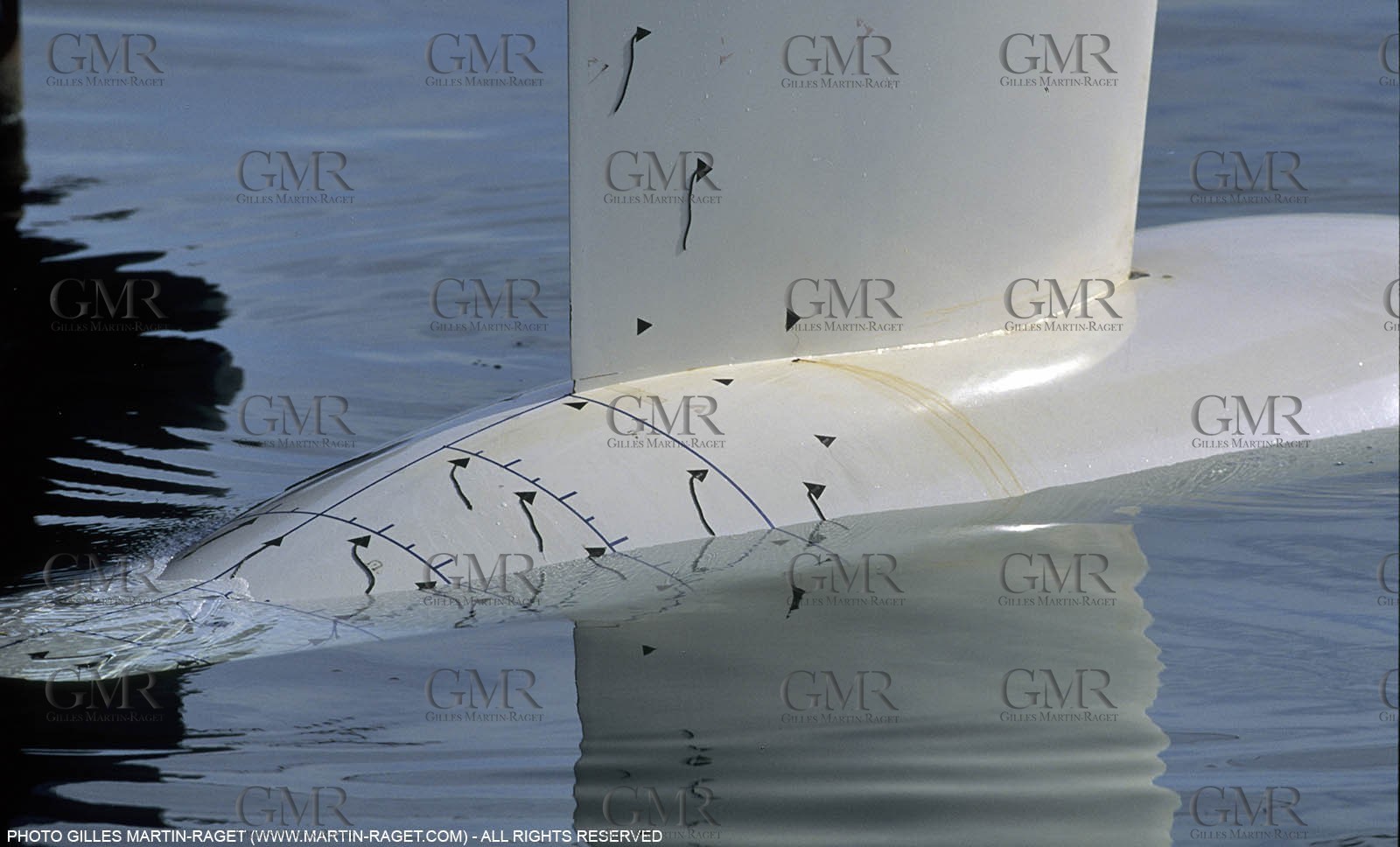 America's cup - San Diego 1995 - Défi français